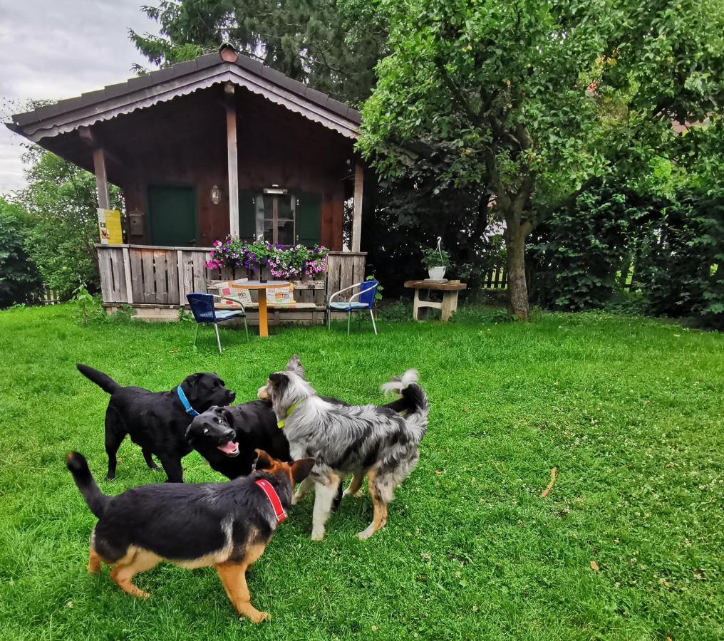 Schusterbauer Bauernhof *