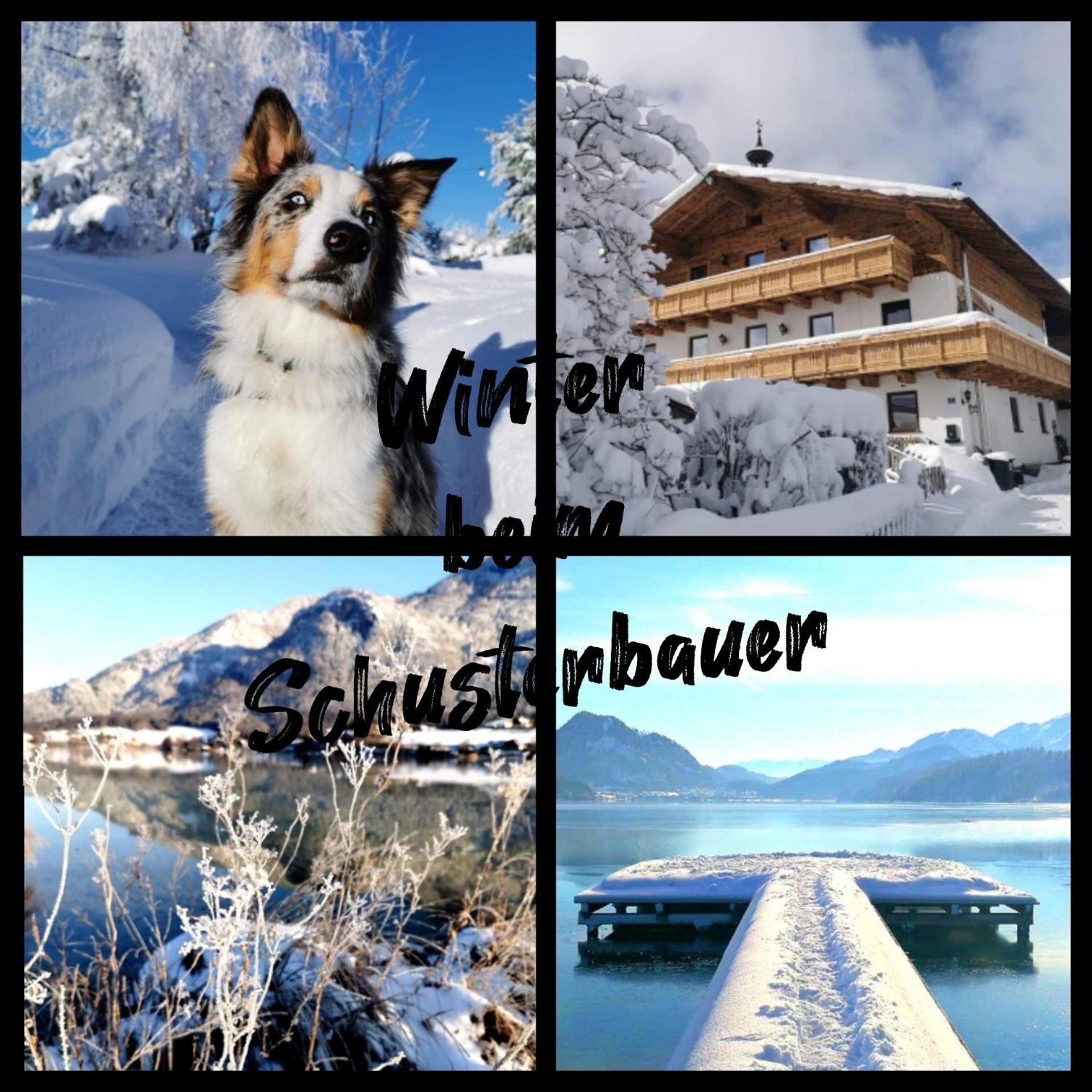Schusterbauer Bauernhof Koppl