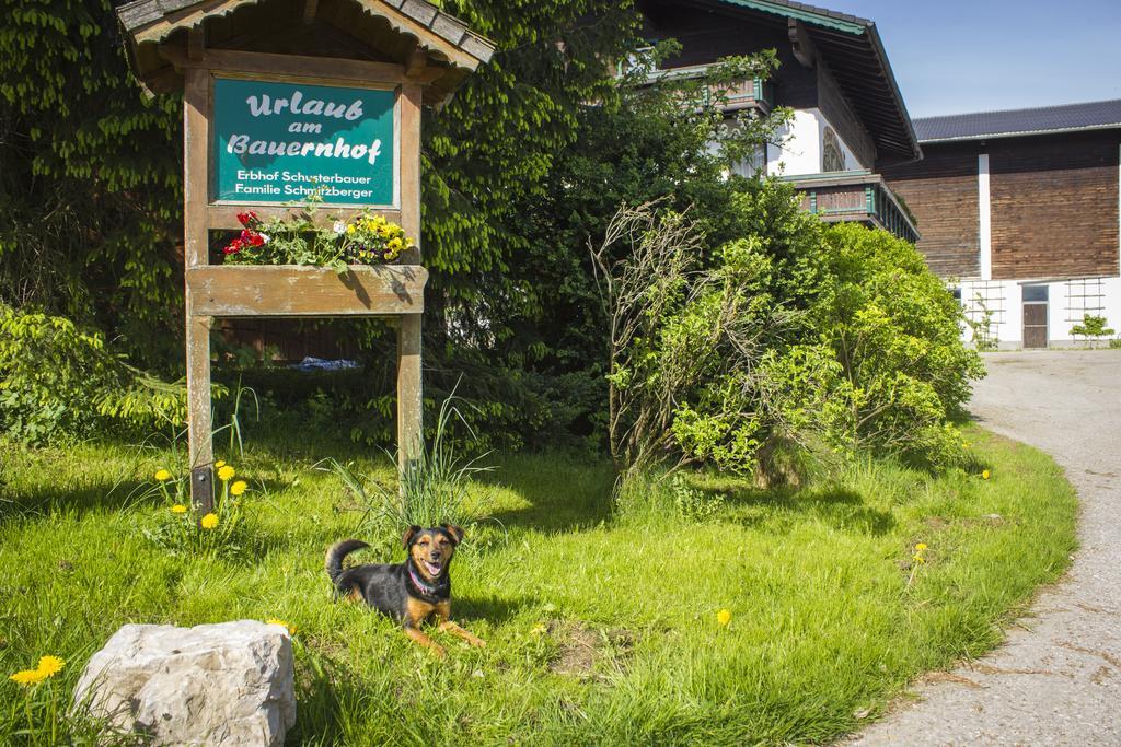 Schusterbauer Bauernhof