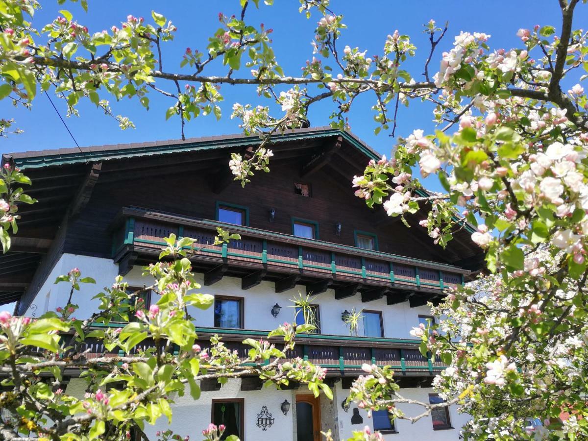 Schusterbauer