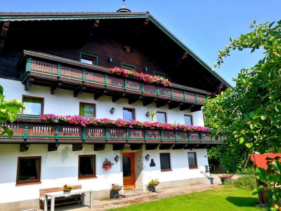 Schusterbauer Bauernhof *